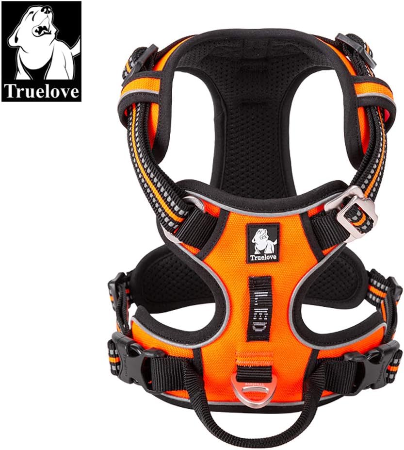 Hundegeschirr, S ; Orange