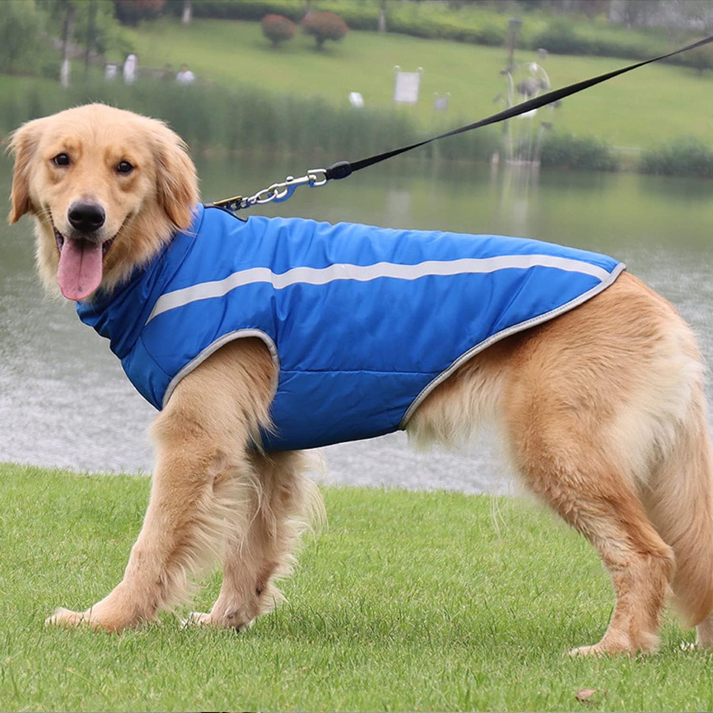 Wasserdichter Winter-Hundemantel mit Fleecefutter, Blau 3XL