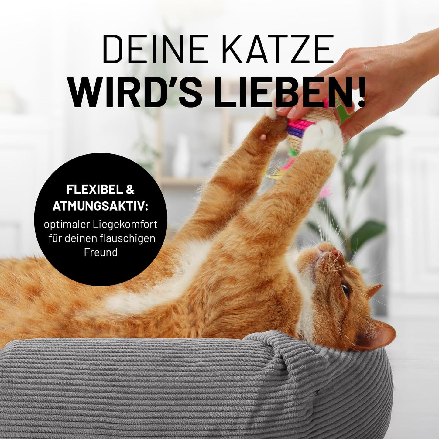 Komfort Katzenbett, Grau