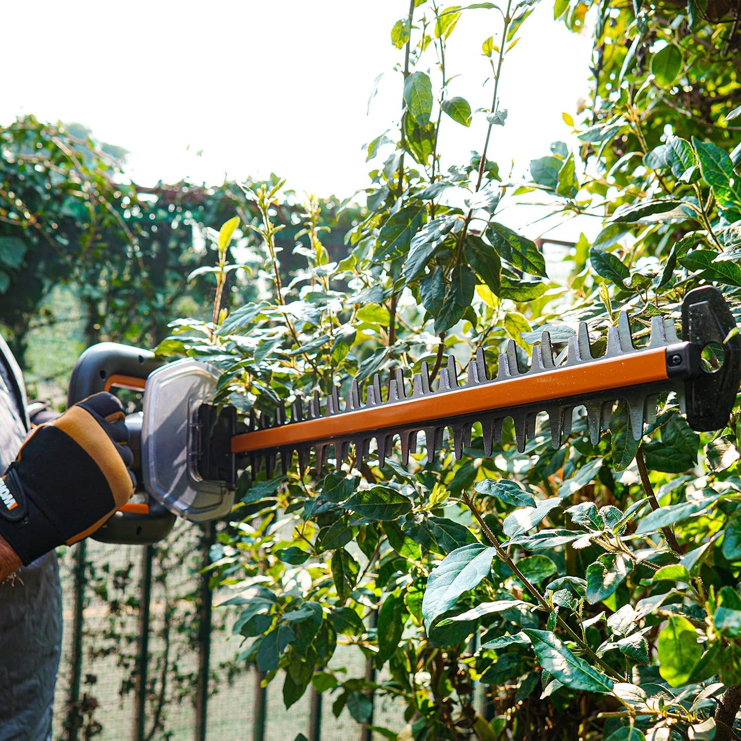 Nitro Cordless Telescopic Hedge Trimmer with Brushless Motor, 54cm Cut, 27mm Capacity, 56cm Schwertlänge ohne Akku & Ladegerät (Nitro Version)