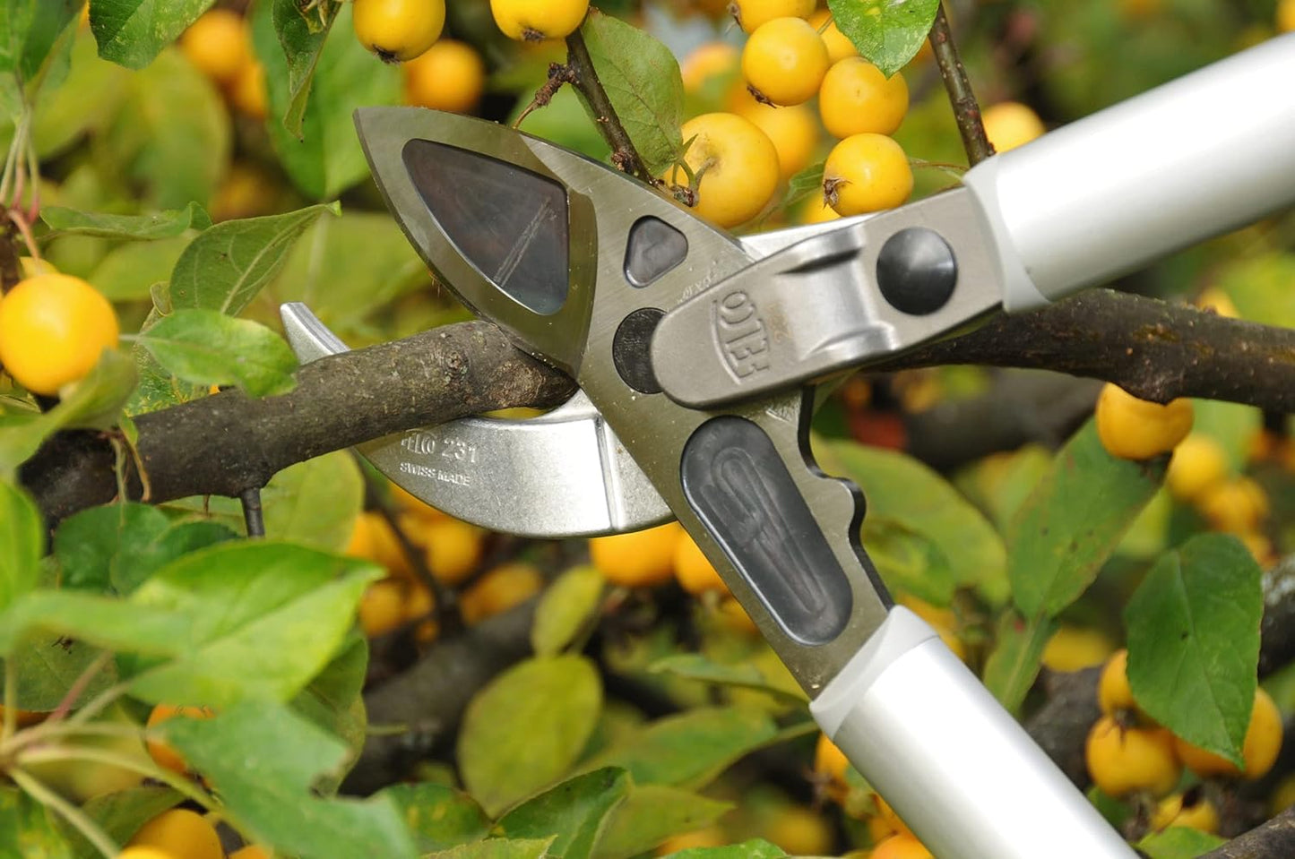 Astschere F231