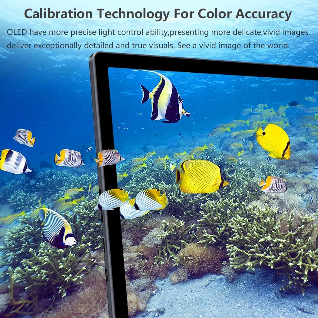 OLED Touchscreen-Monitor 13.3'', 2K OLED Touch