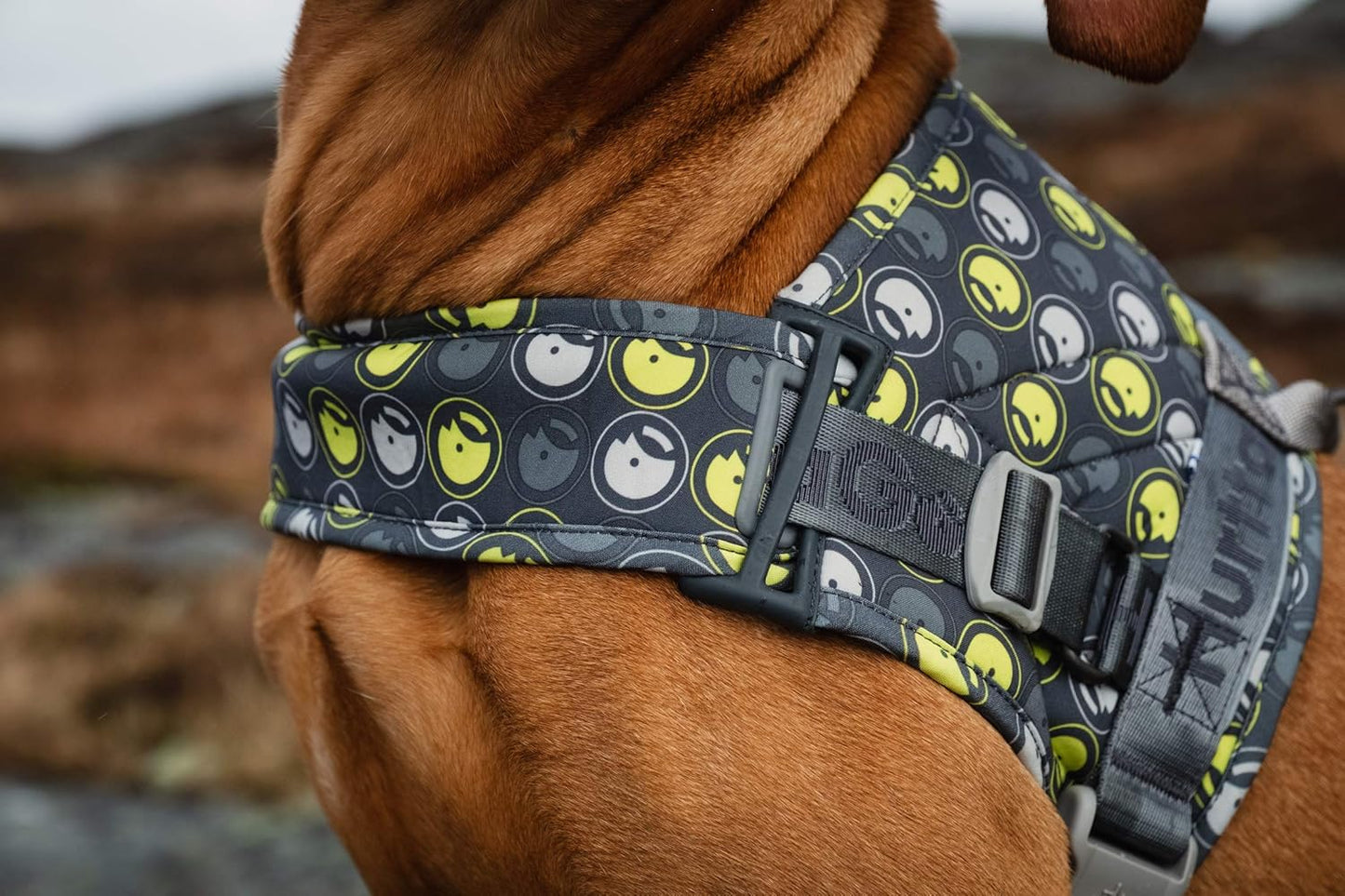 Go Hundegeschirr, reflektierend, gepolstert & verstellbar, 35-45 cm storm grey