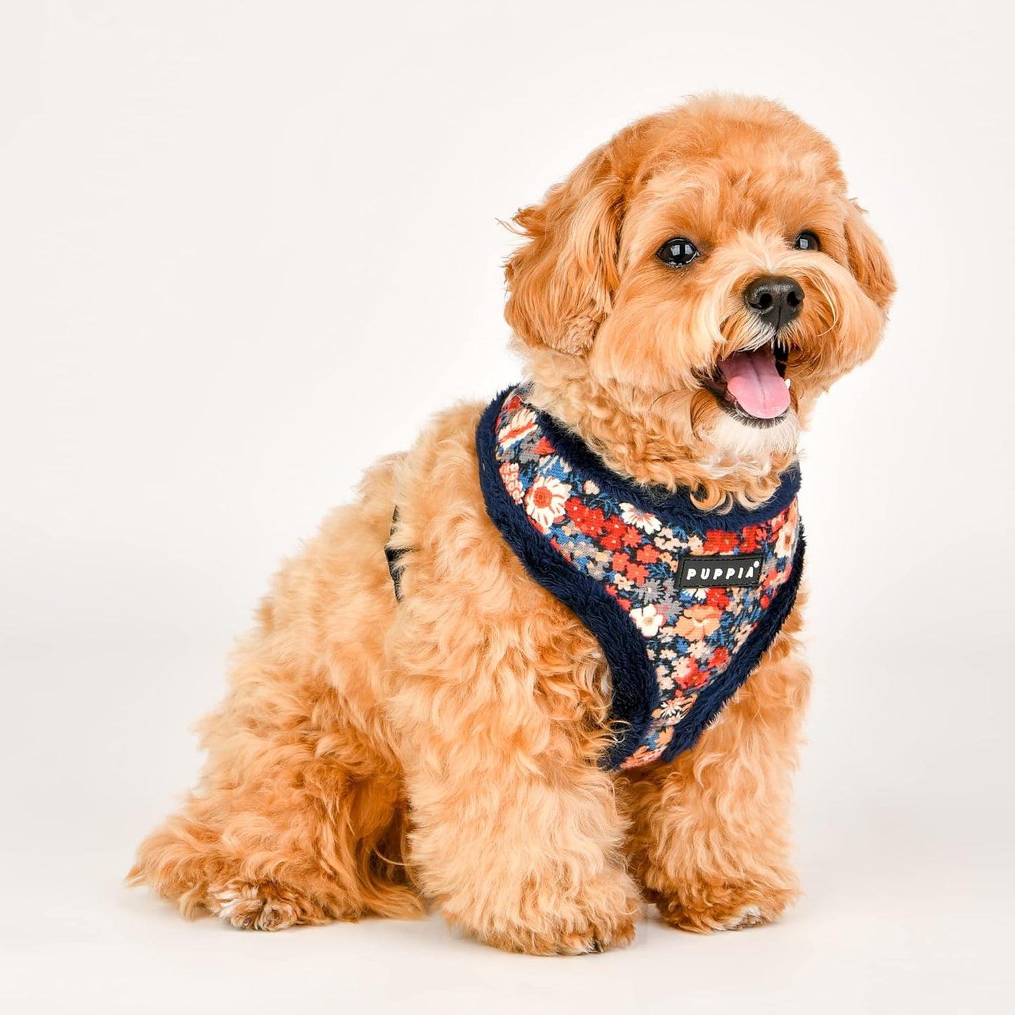 Verstellbares Hundegeschirr inkl. Smart-Tag-Anhänger, Navy Blau L