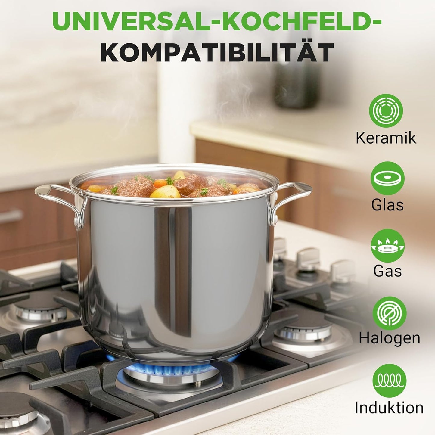Grosser Suppentopf 11,5L Edelstahl Induktion, 11 Liter