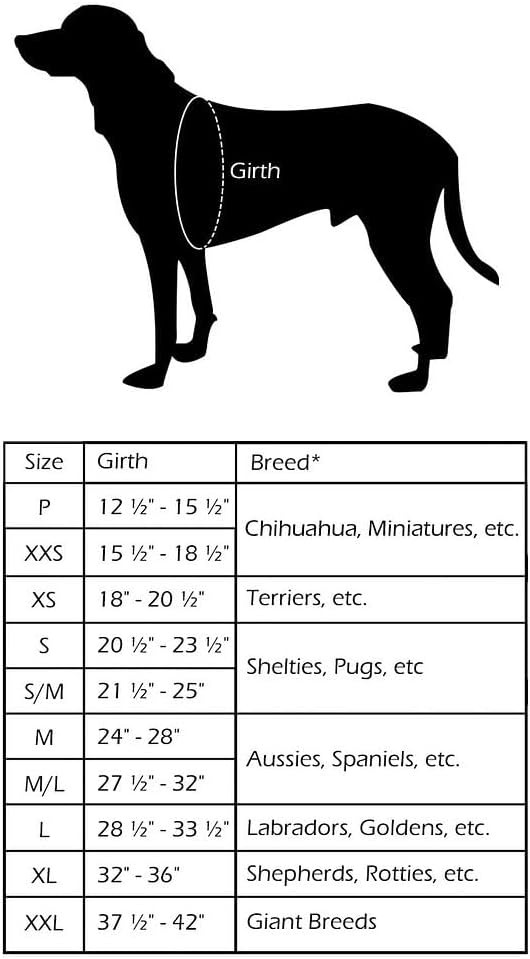 Sport-Hundegeschirr ComfortFlex, gepolstert, verstellbar, s, Violett