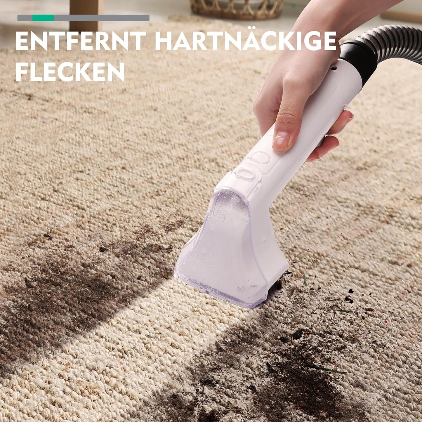 Waschsauger für Teppich & Polster