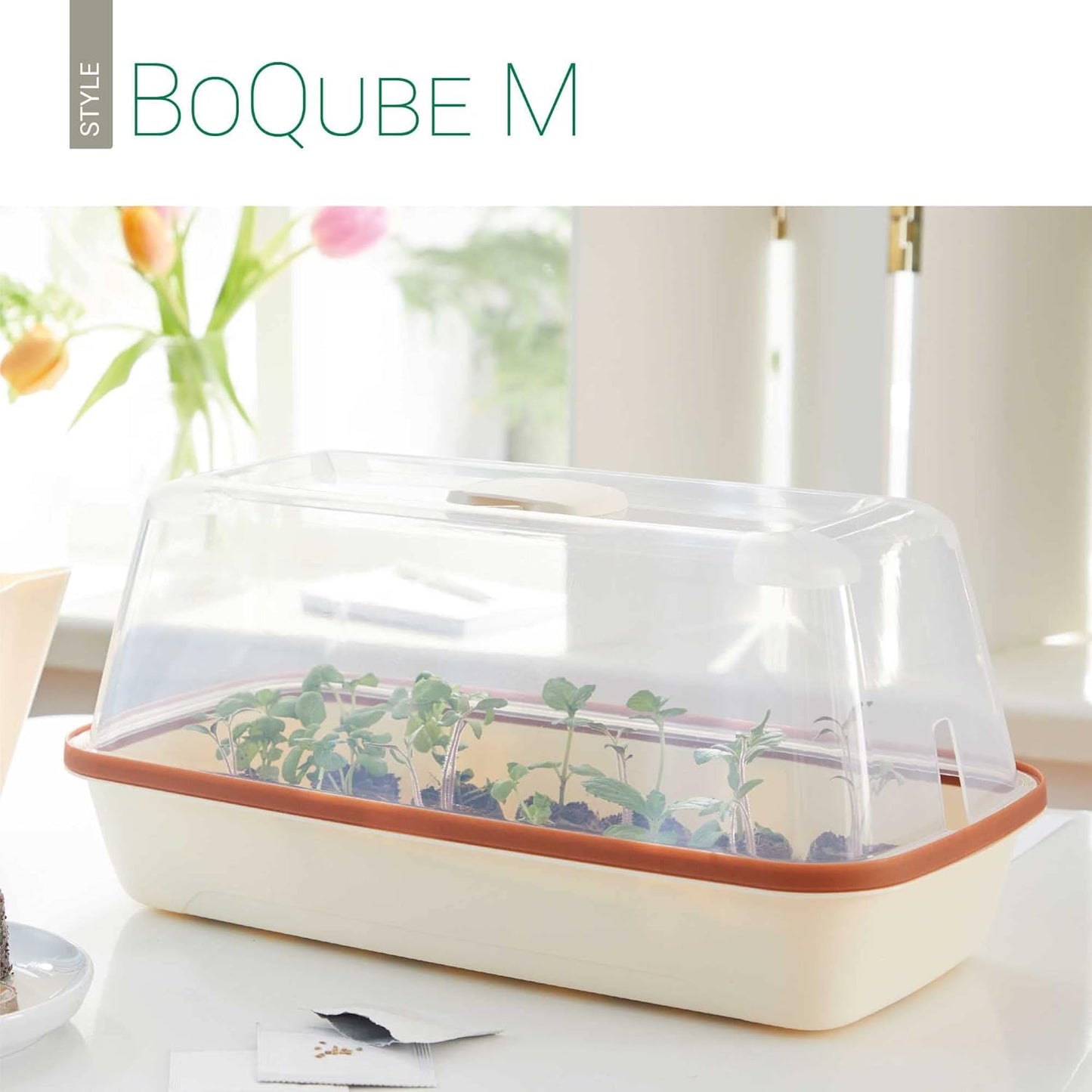Mini-Zimmergewächshaus mit Belüftung und Giessöffnung, BoQube M — 37×19×18cm Creme / Kupferbraun