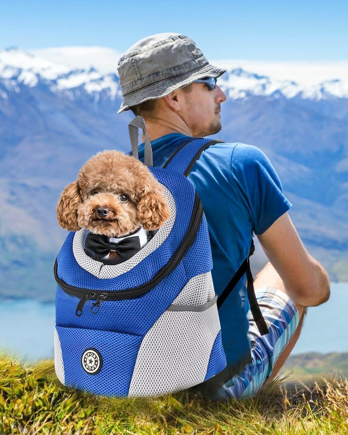 Hundetragerucksack, M Blau