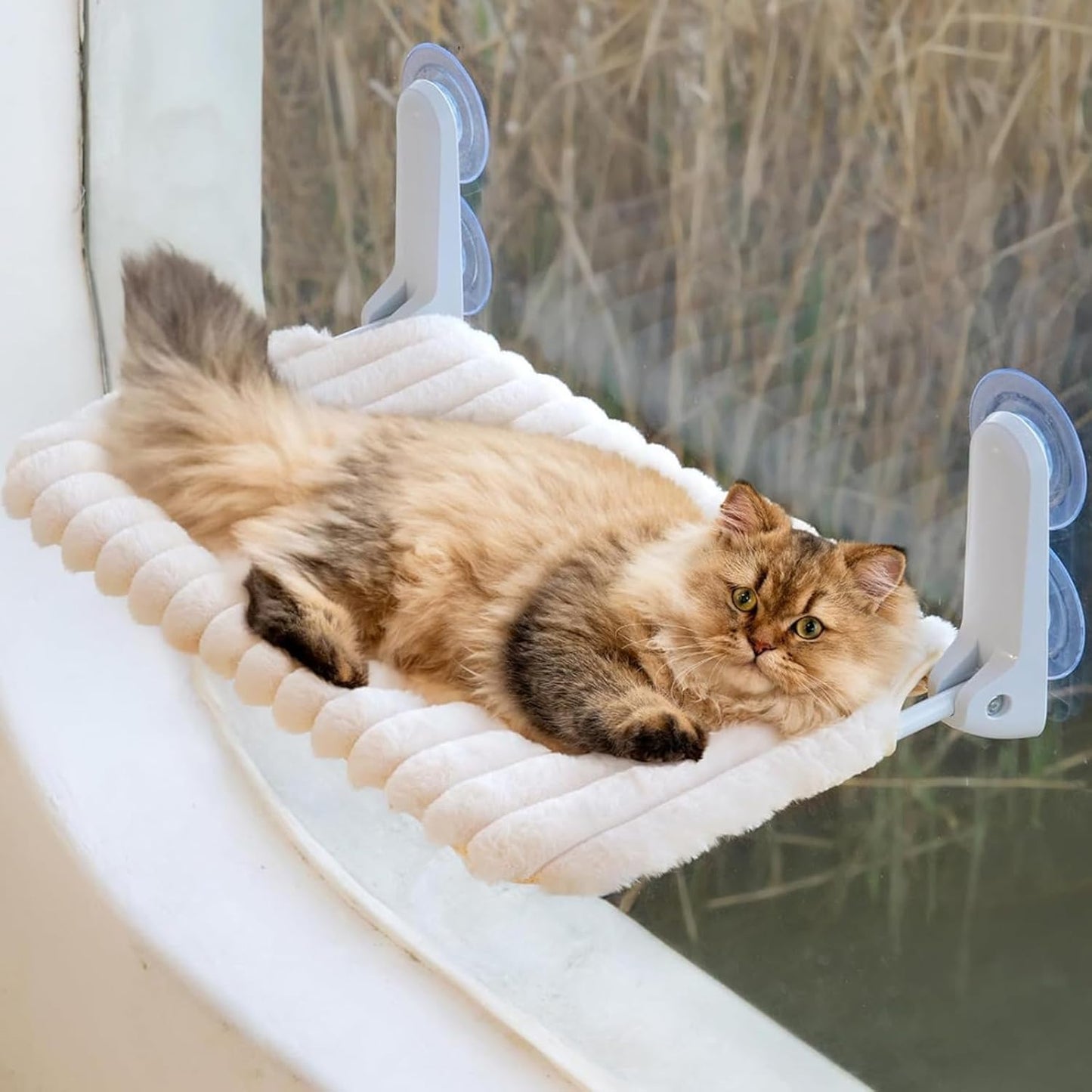 Katzen-Fensterhängematte mit Saugnapf