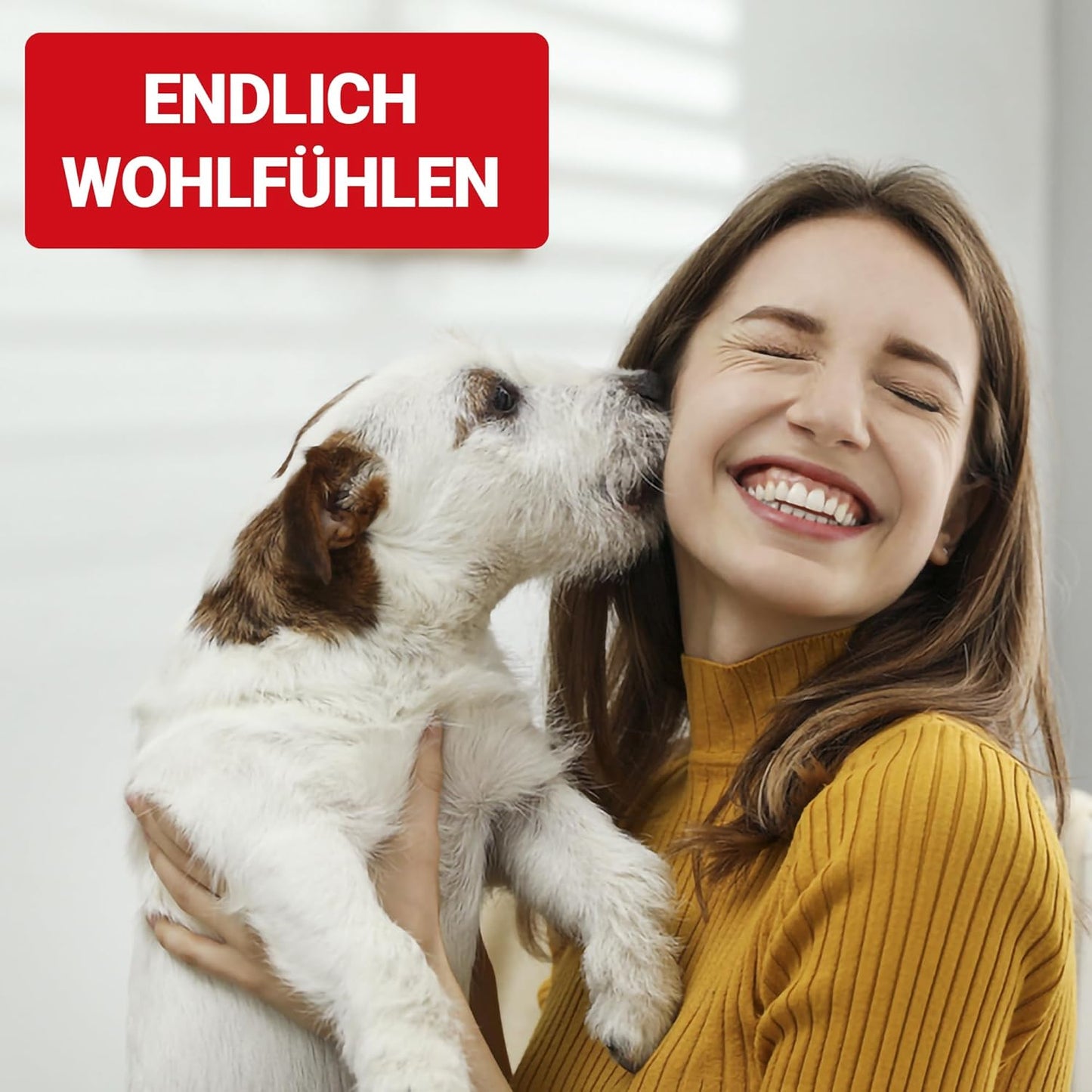 Staubsaugeraufsatz-Set für Tierhaare & Sand, Combo