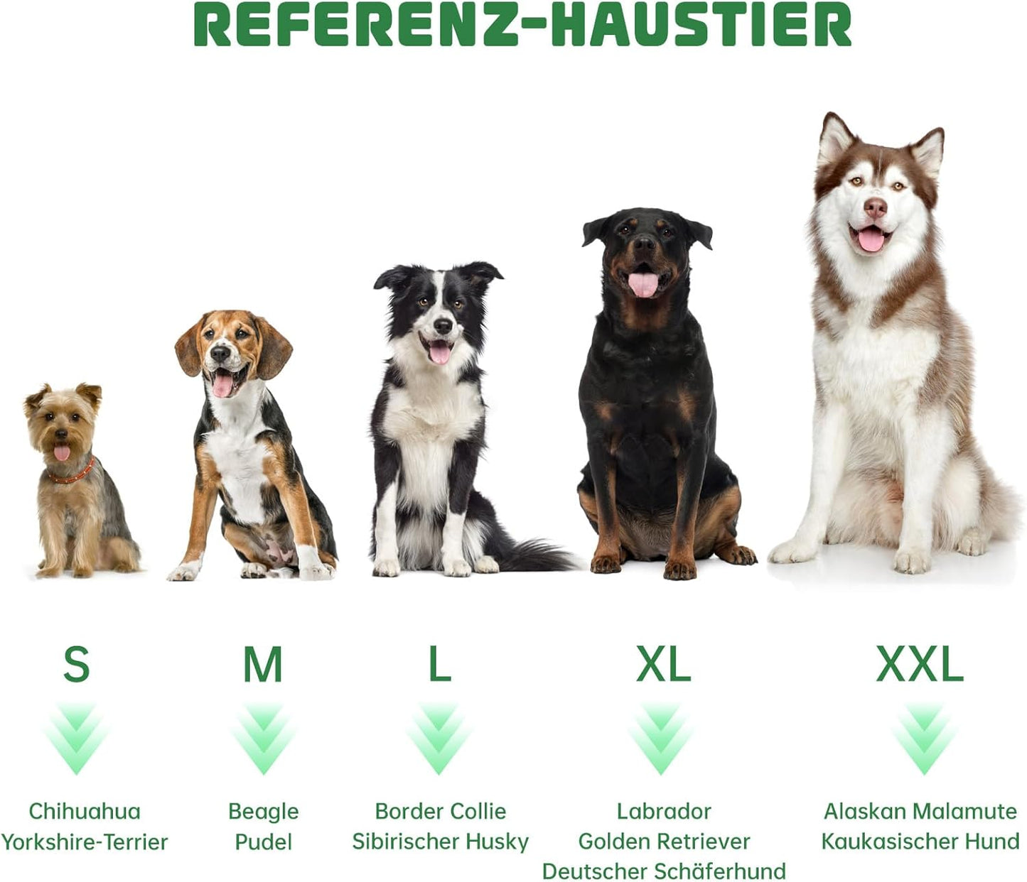 Hundebademantel aus Mikrofaser, schnell trocknend, XXL Grün