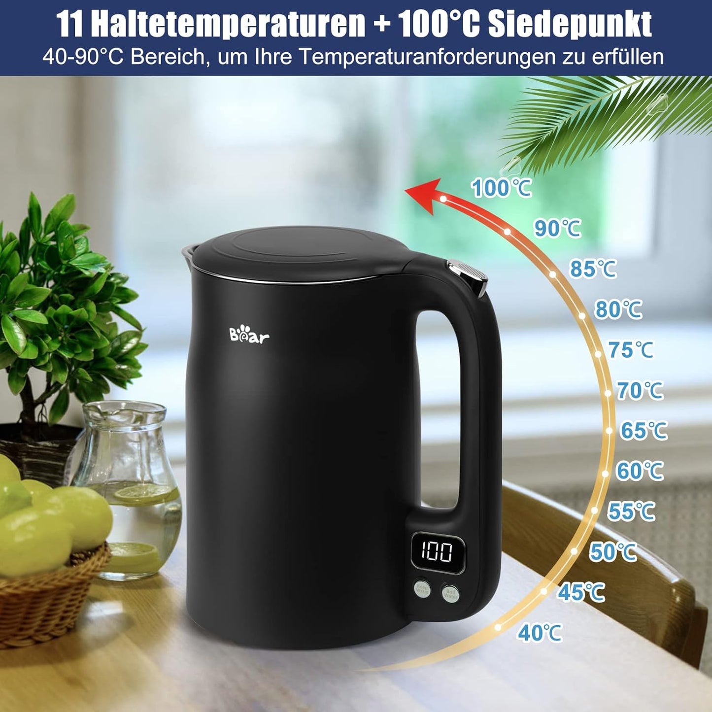 Wasserkocher mit Temperatureinstellung (40°C-100°C)