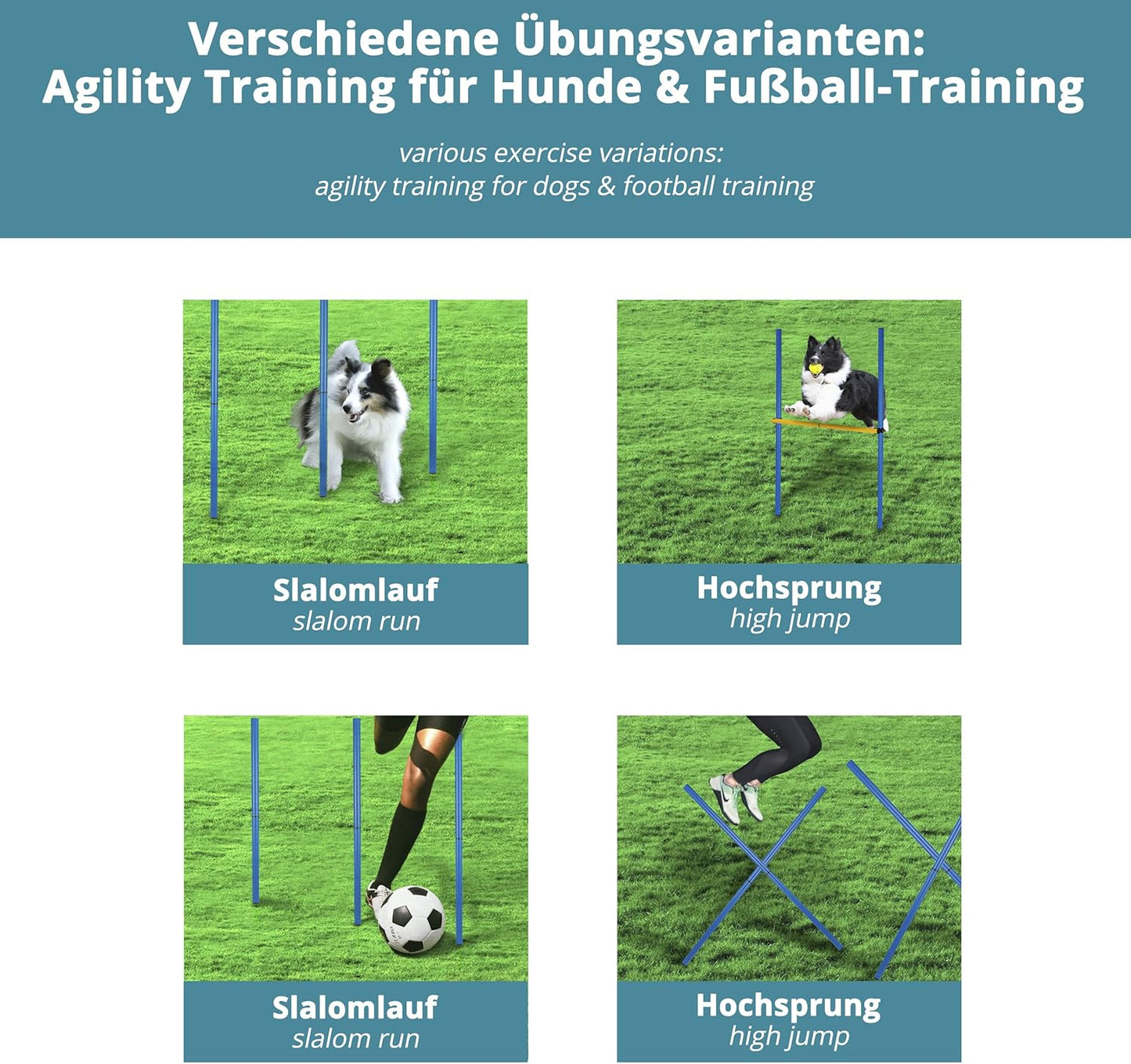 Agility-Trainingsset: Slalom Stangen mit Hürde, 12 Stangen + 3 Hindernisse blau-gelb