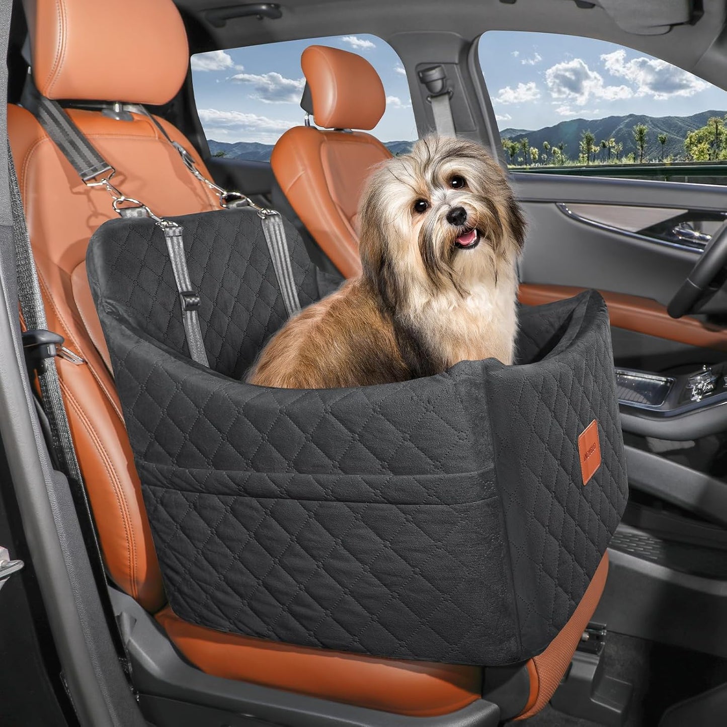 Hundeautositz mit Sicherheitsleine, Schwarz Mittel