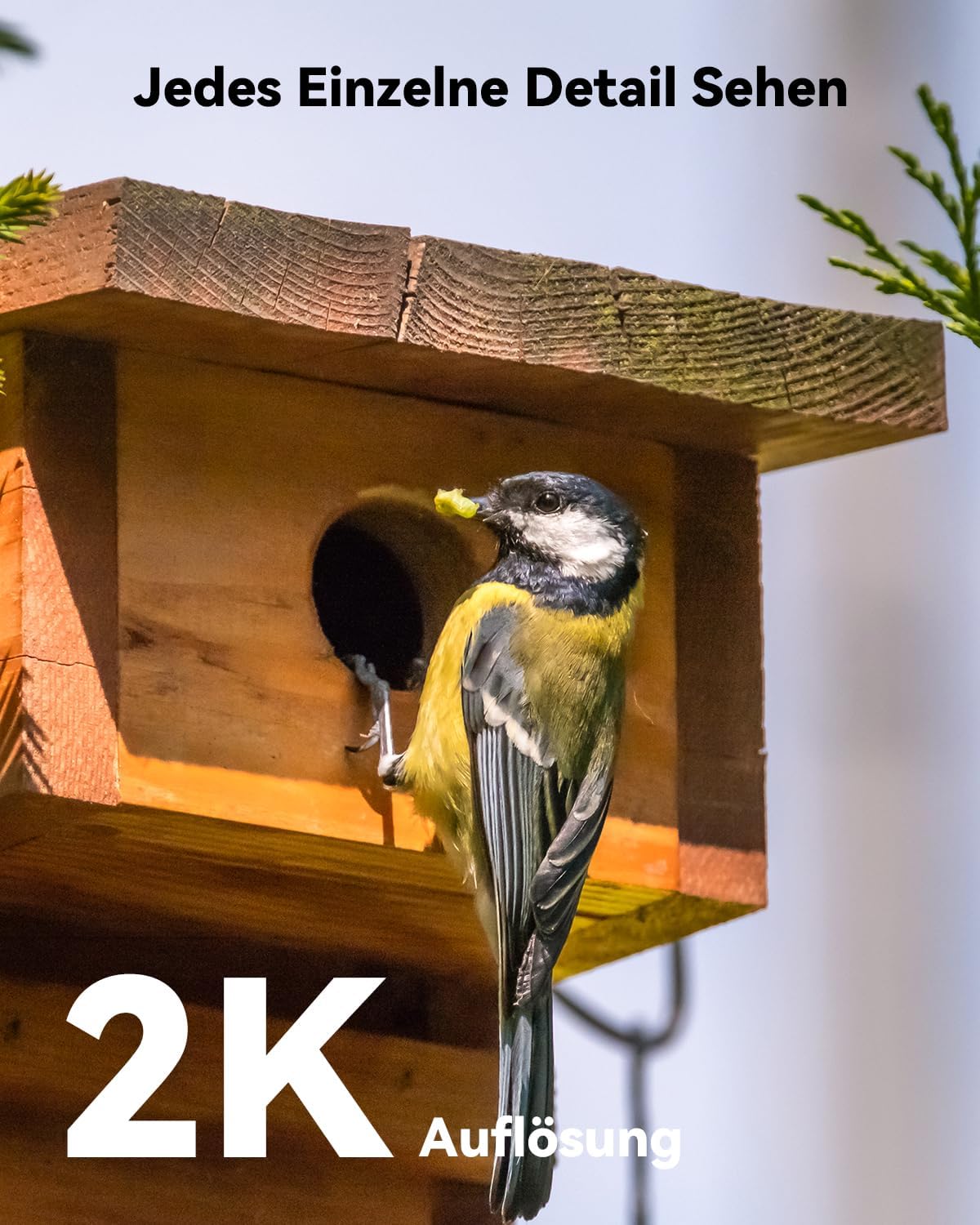 2K Überwachungskamera mit Solar und Akku, Cell 3c Kit