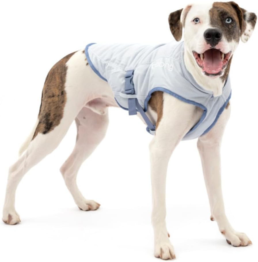 Hundekühlweste mit Geschirrkompatibilität, Medium, Medium