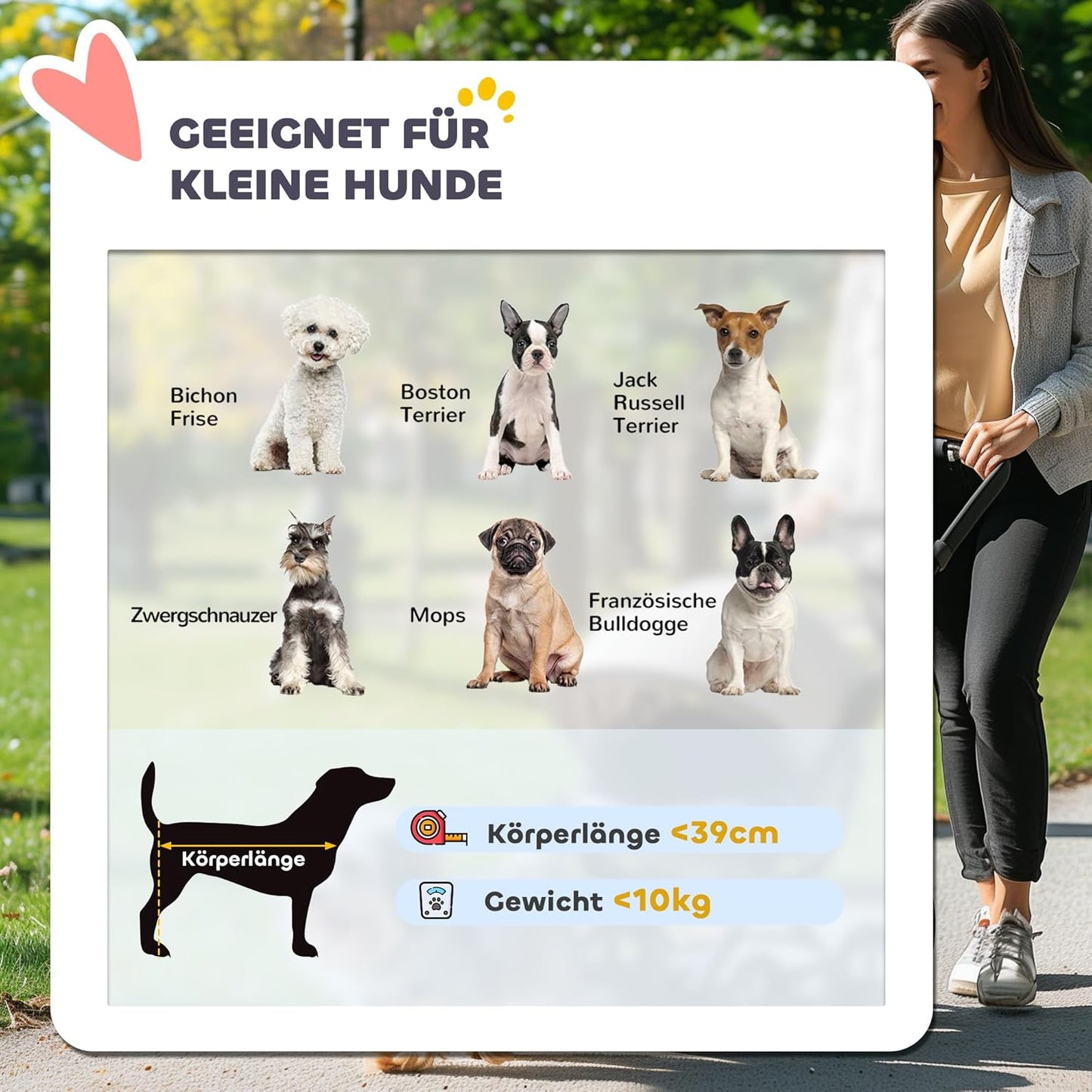 Klappbarer Hundewagen für kleine Haustiere, Türkis One Size
