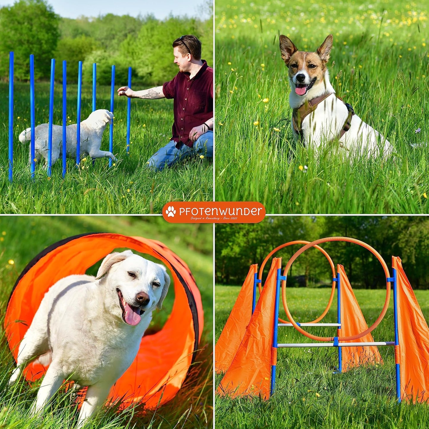Agility-Set für Hunde