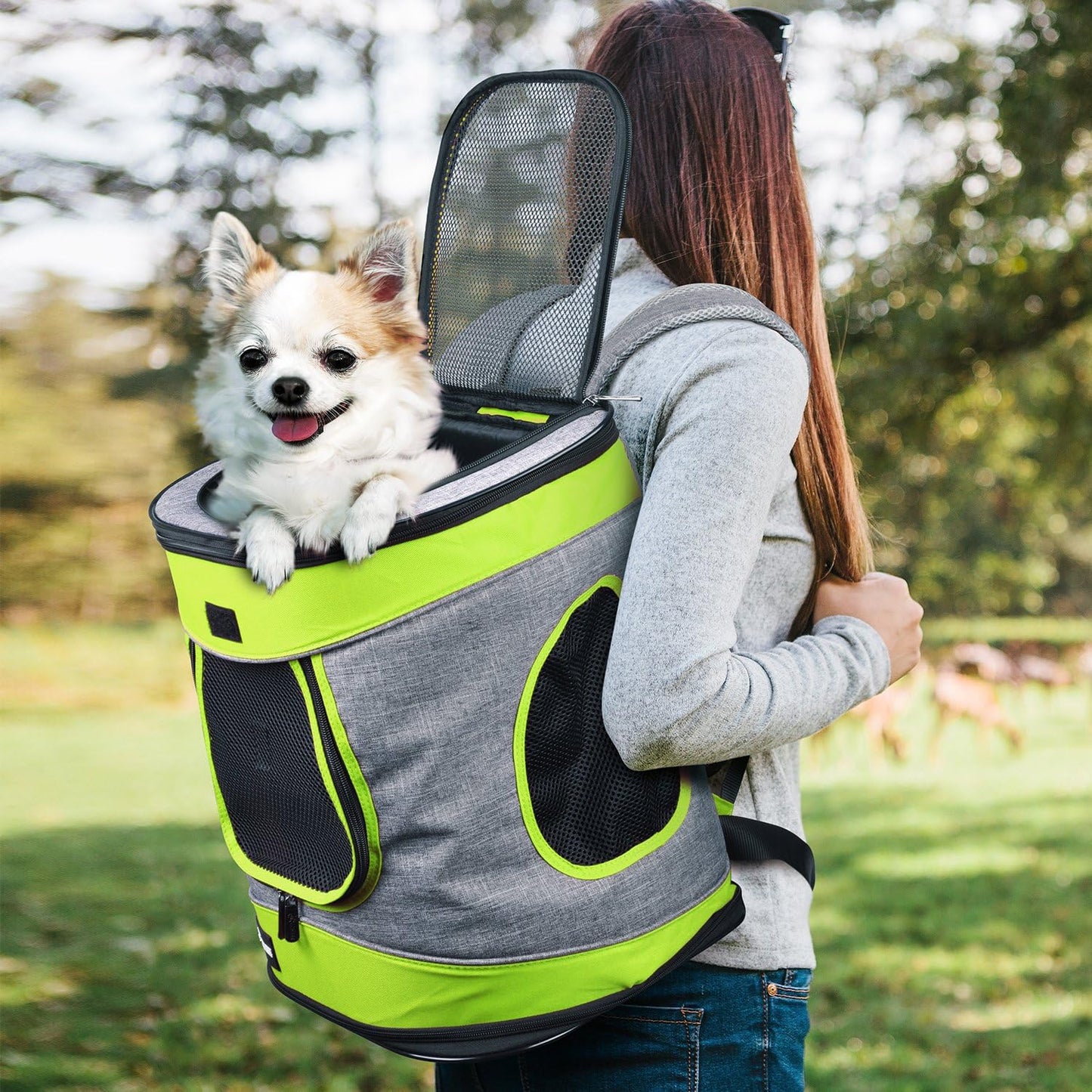 Haustier-Rucksack mit Mesh-Fenster, atmungsaktiv, faltbar, Grün