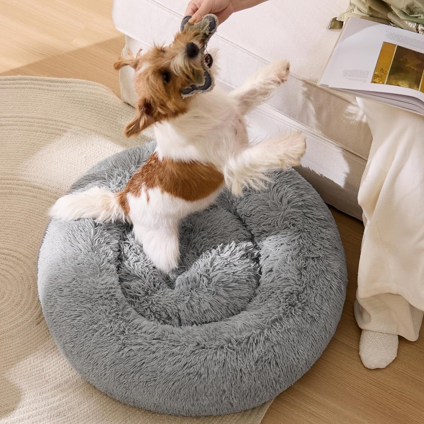 Waschbares Hundebett, Hellgrau L 70 x B 70 x H 15 cm