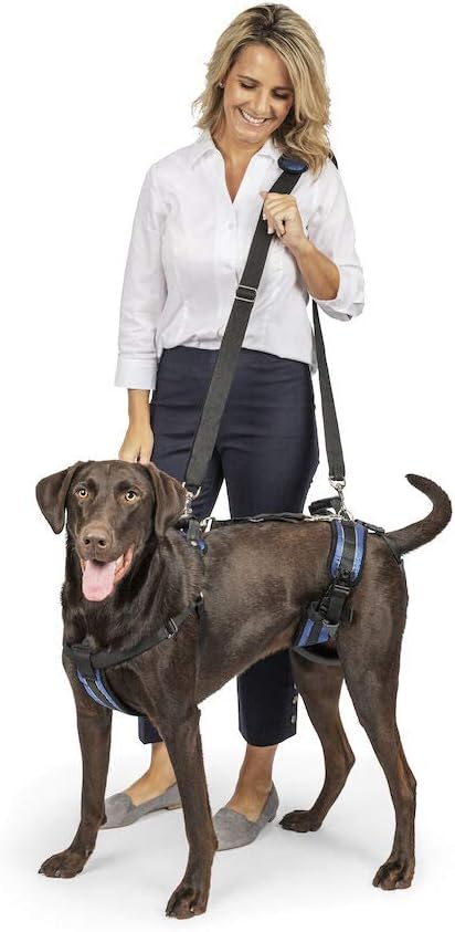 Ganzkörper-Hundegeschirr, Large (Pack of 1)