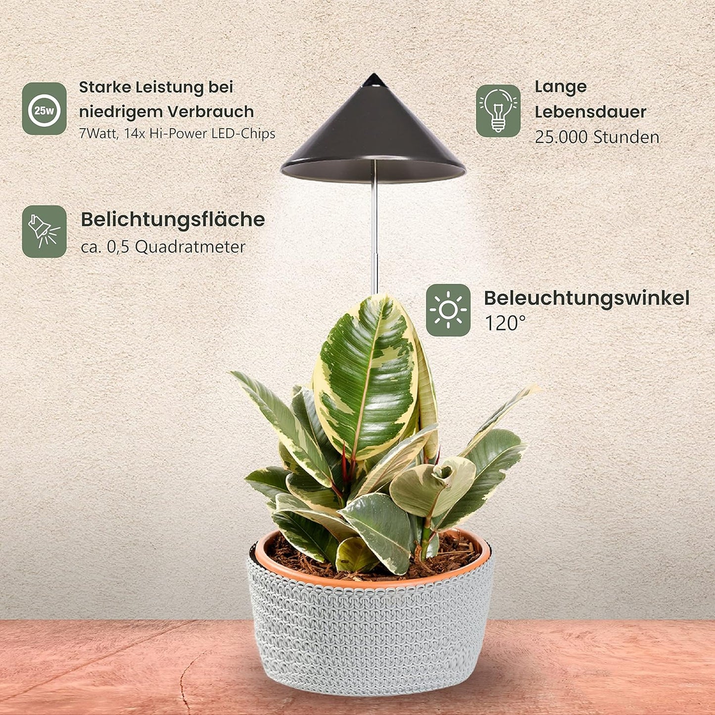 SUNLiTE, Grau