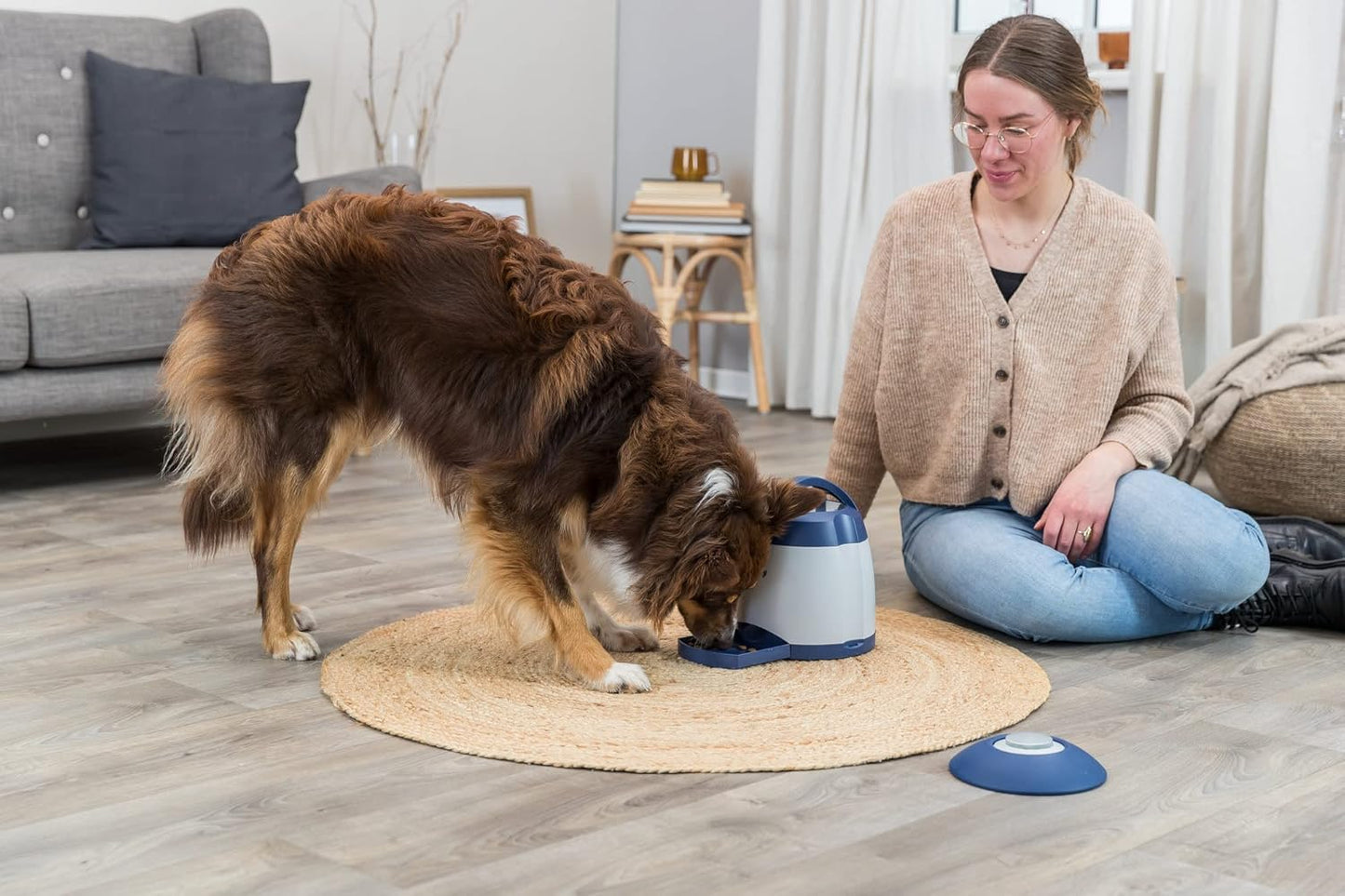 Dog Activity Memory Trainer 3.0 Intelligenzspielzeug