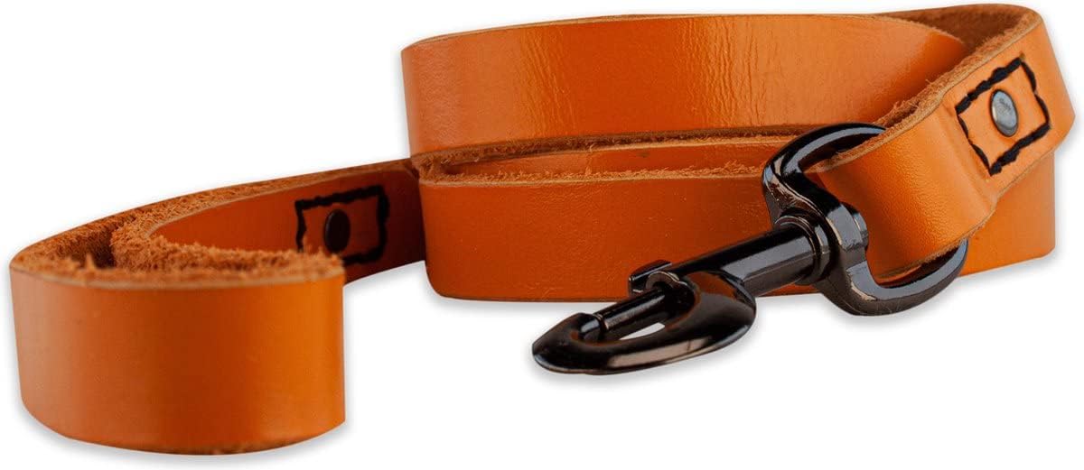 Hundeleine, Orange/Schwarz / 140cm