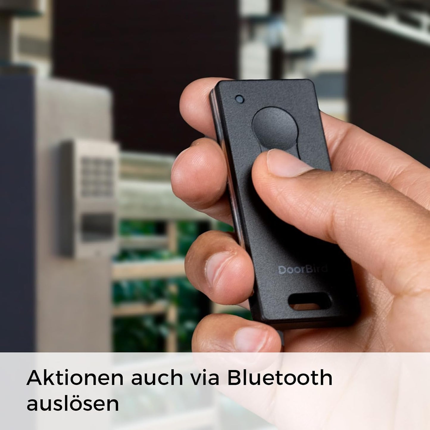 Video-Türstation D1101V, Edelstahl V4a