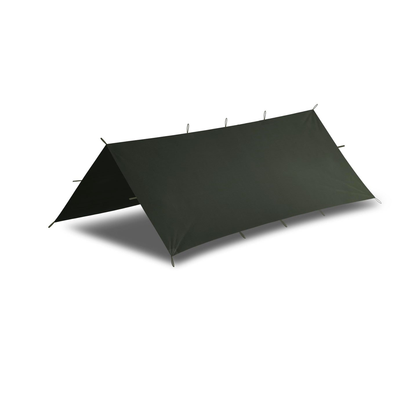 Tarp, Oliv