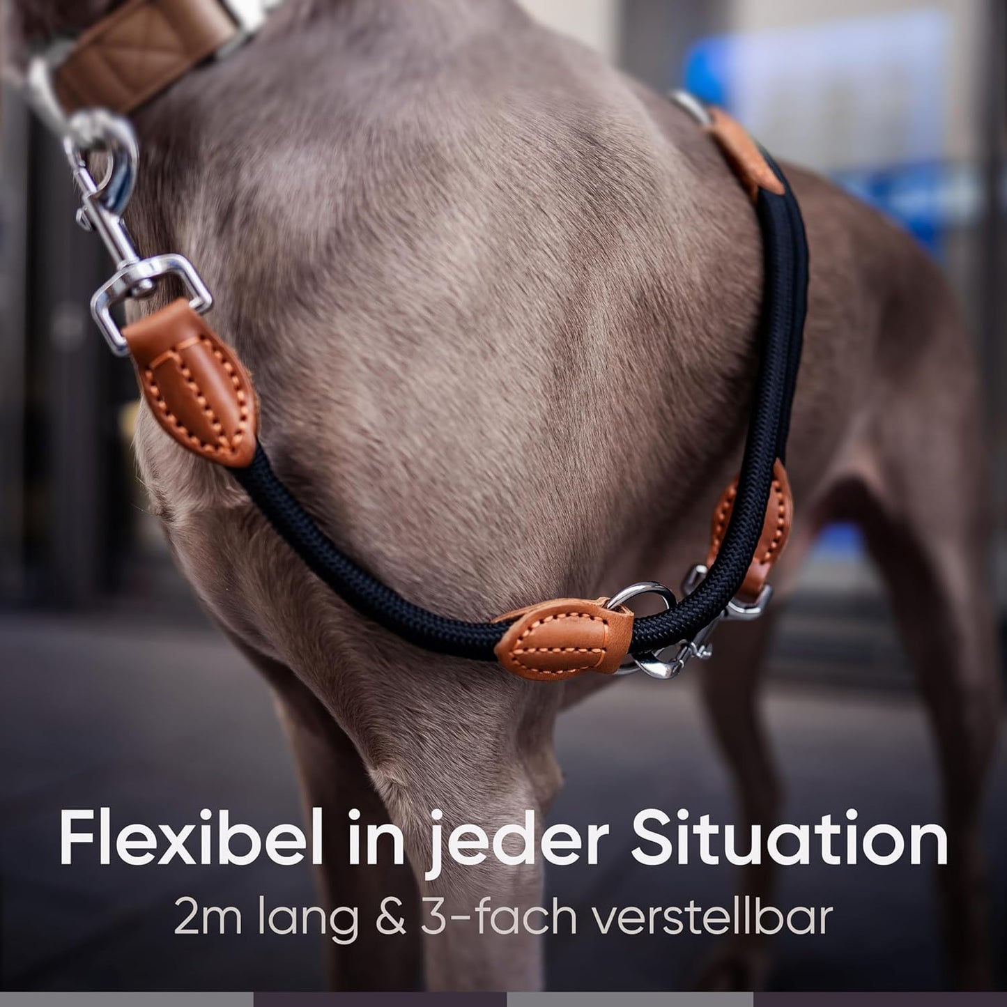 Verstellbare Führleine, Schwarz