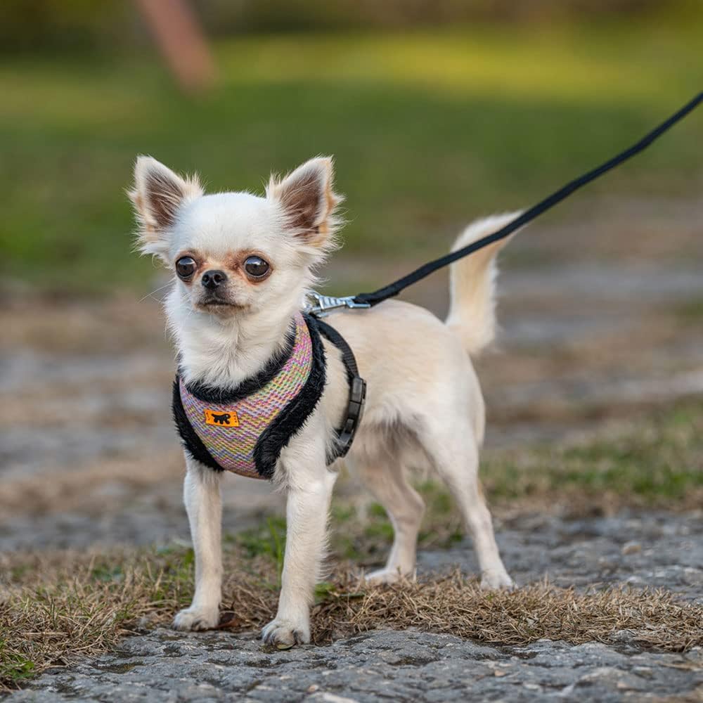 Atmungsaktives Hundegeschirr XS, Multicolor XS