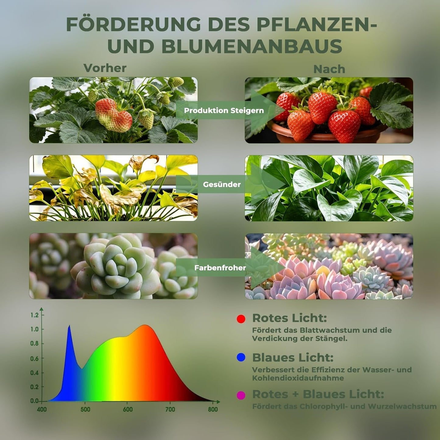 LED Pflanzenlampe Vollspektrum mit Timer & Dimmer, 8 W