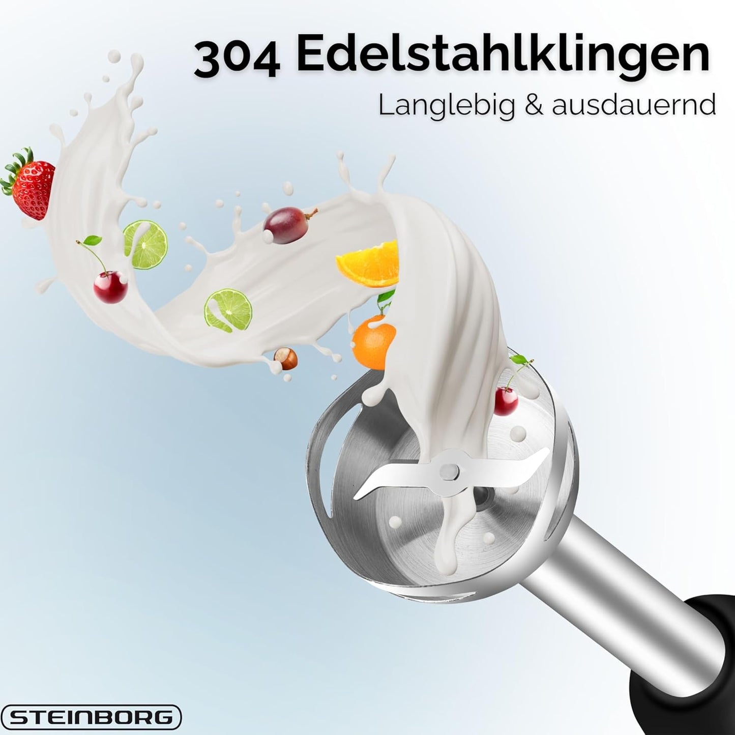 Stabmixer Set