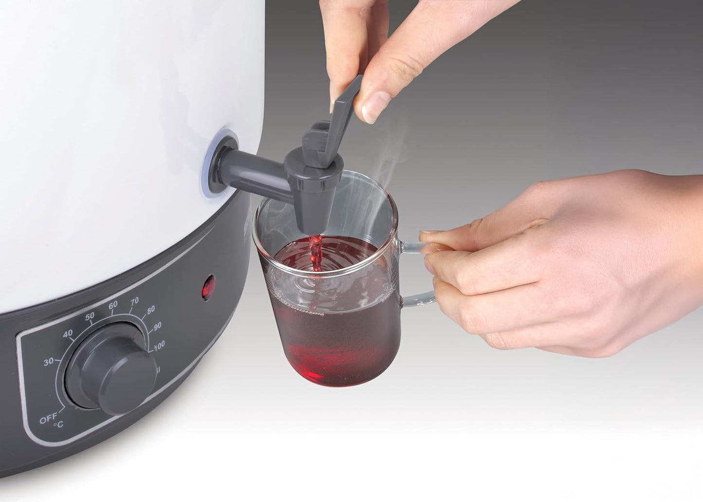 2-in-1 Einkoch- & Heissgetränkeautomat HG-E 290