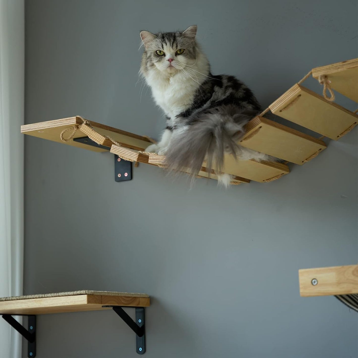 Kletterwand für Katzen