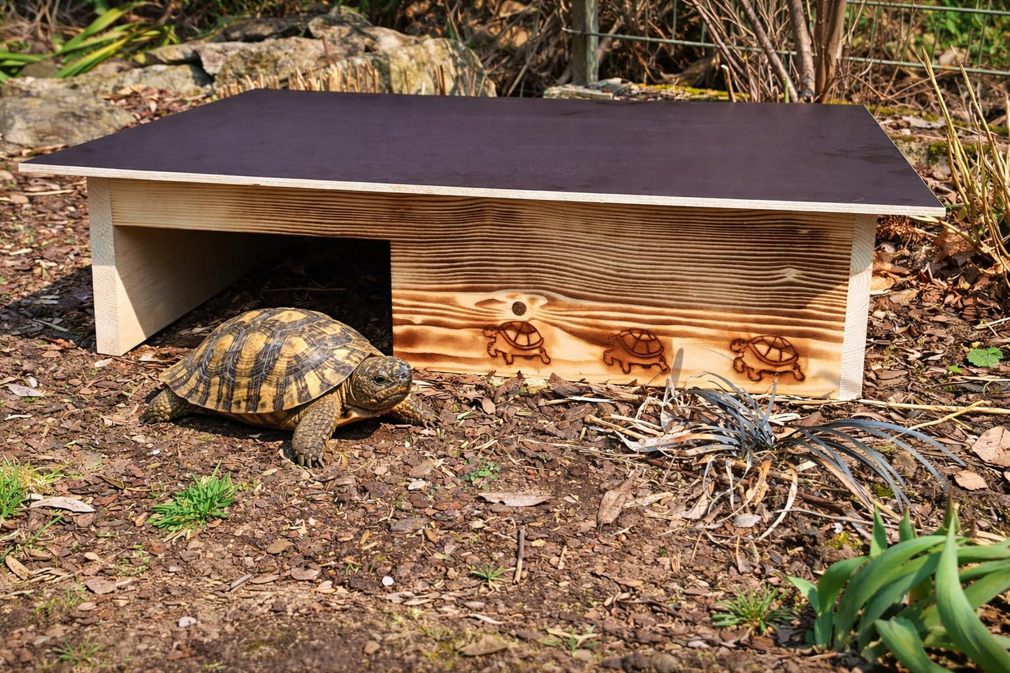 Schildkrötenhaus SH13, Gebrannt 1