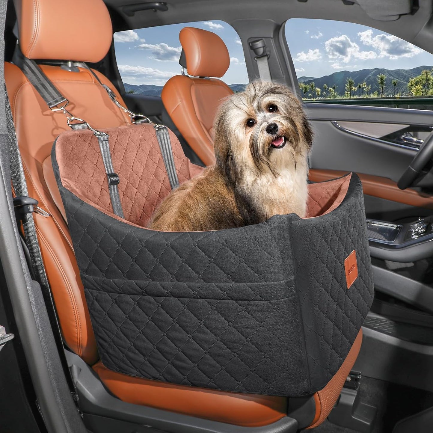 Autositz für kleine Hunde und Katzen, Schwarz Braun Mittel
