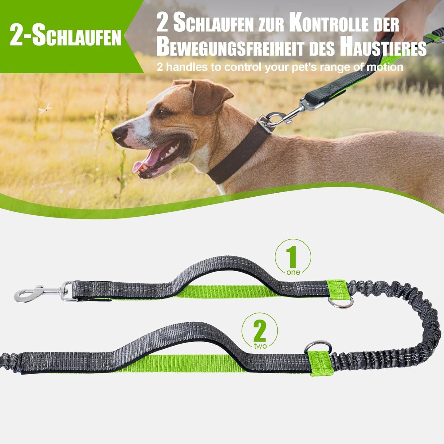 Reflektierende Joggingleine, Für einen Hund Grau & Hellgrün