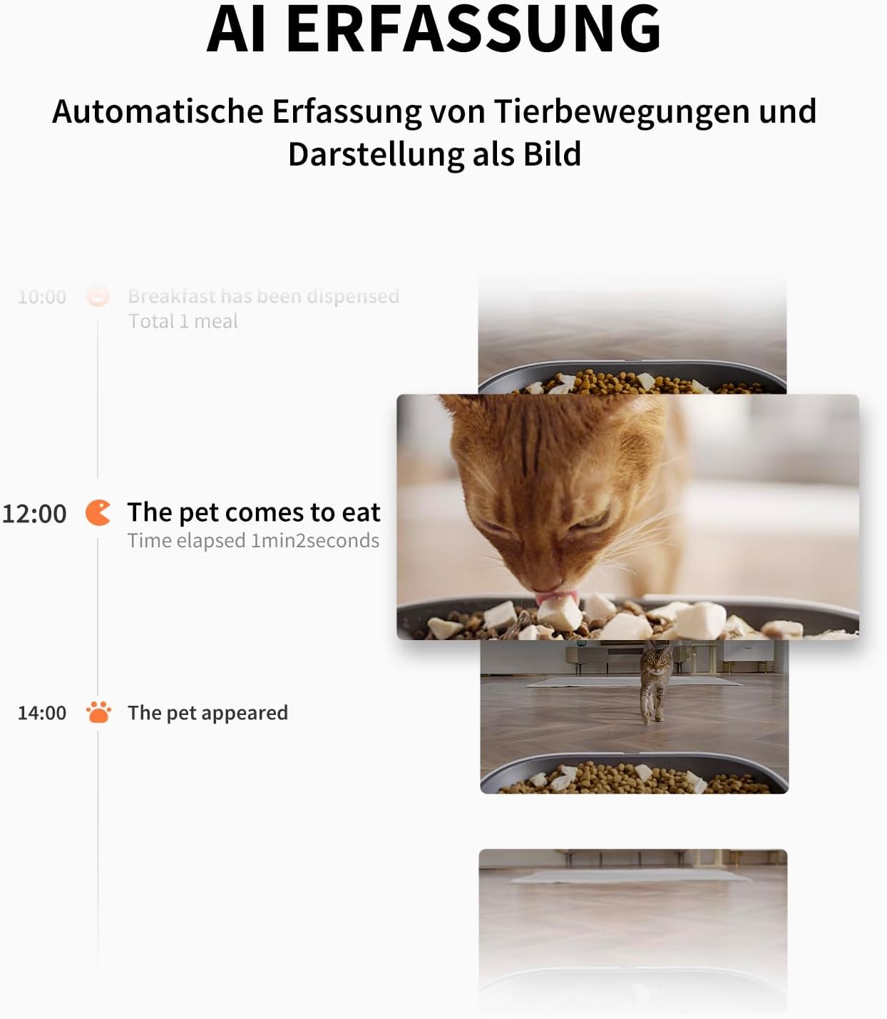 Futterautomat mit Kamera für Katzen & Hunde, 2 Näpfe Mit Kamera