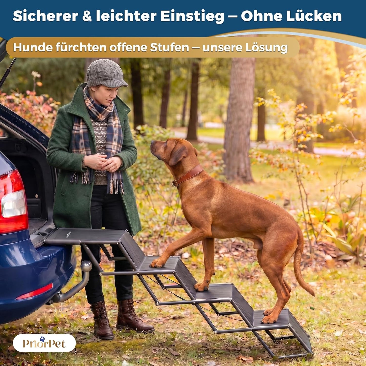 Klappbare Hundetreppe für Autos bis 65 kg, 4