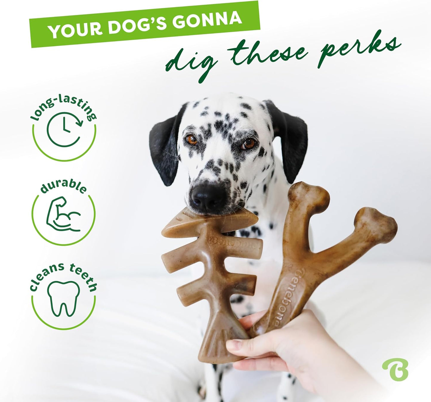 Hundekauspielzeug 2er-Set, Fishbone/Wishbone, Fishbone/Wishbone Small