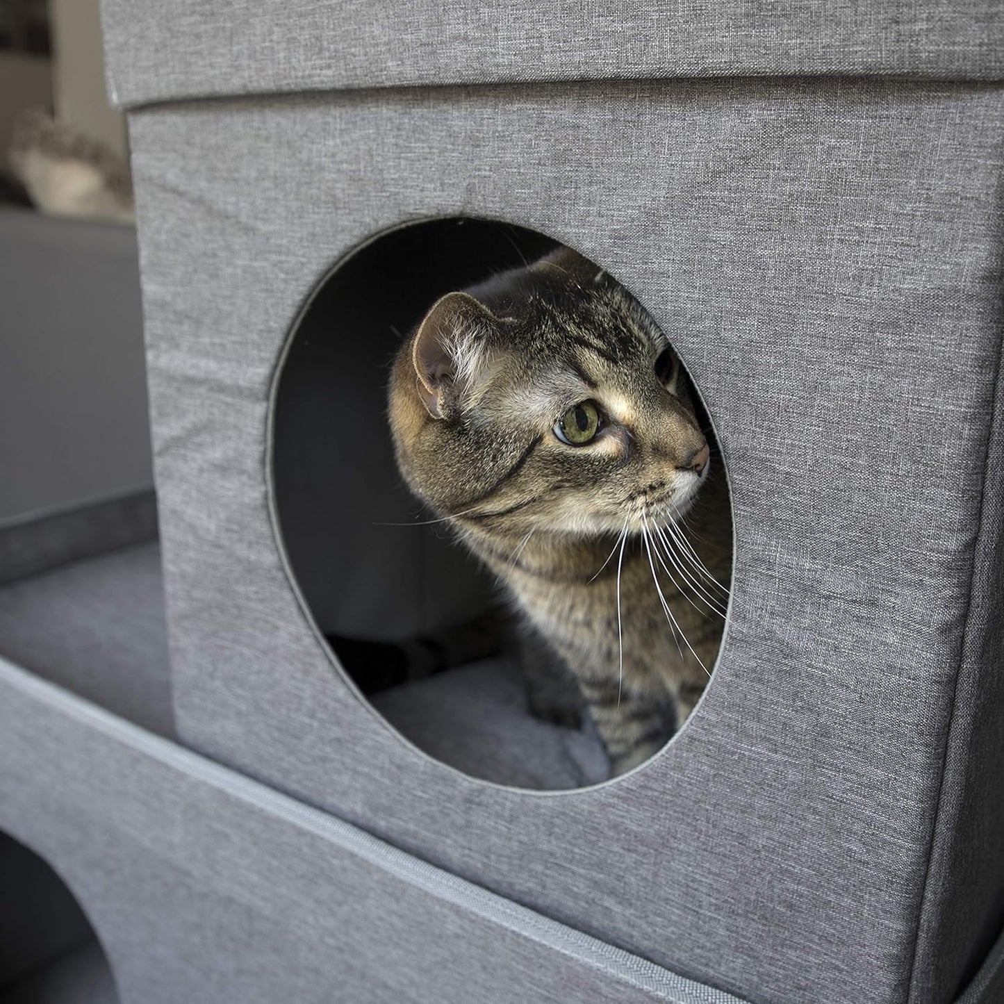 Doppelstöckiges Katzenhaus Cat Condo mit Pop-up Bett, Double Story