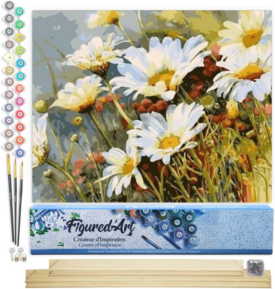 Malen nach Zahlen Set Gänseblümchen, Gänseblümchen Feld 40x50cm Mit Keilrahmen (nicht gespannt)