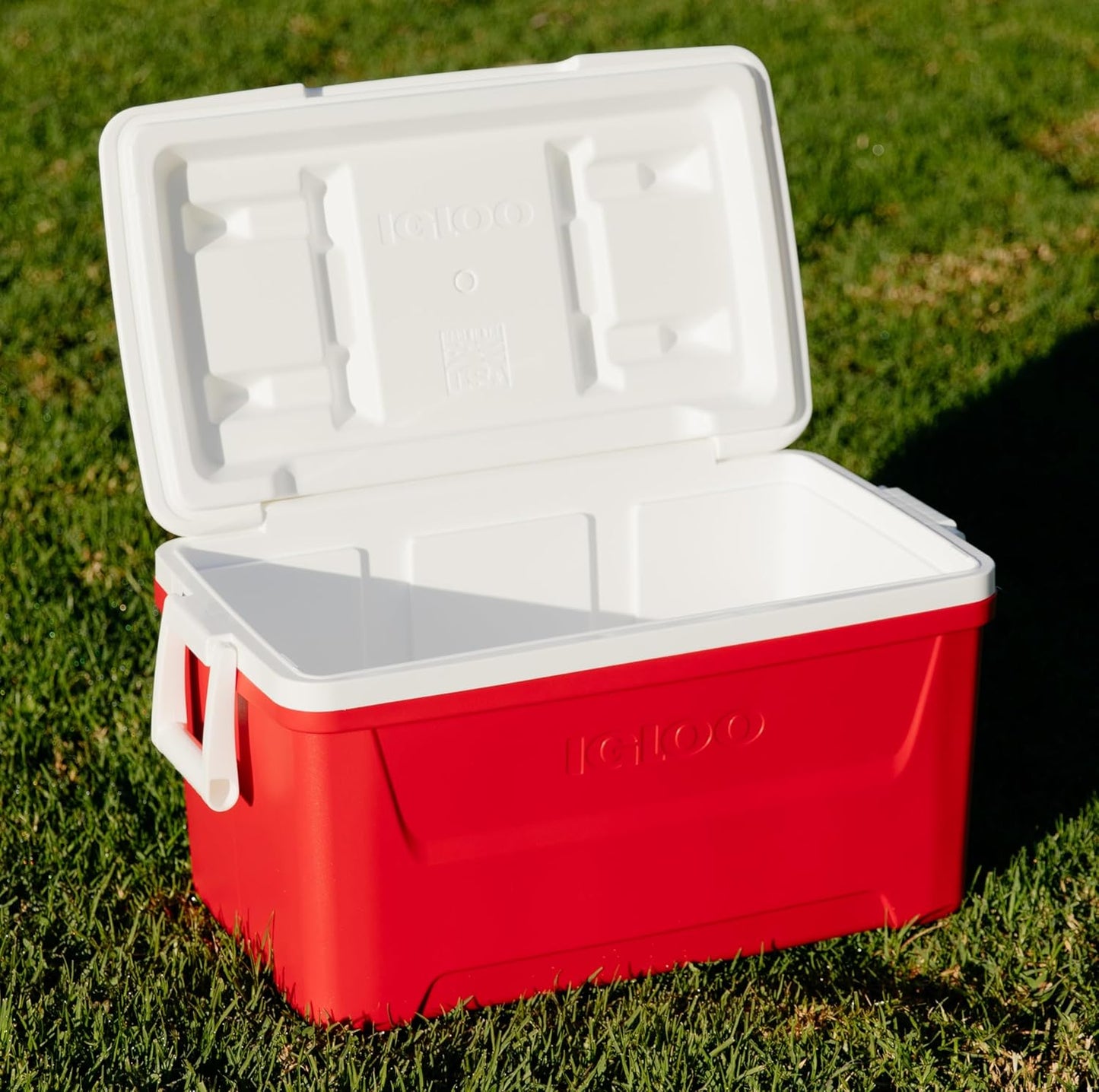 Laguna 48 Kühlbox, 48 L