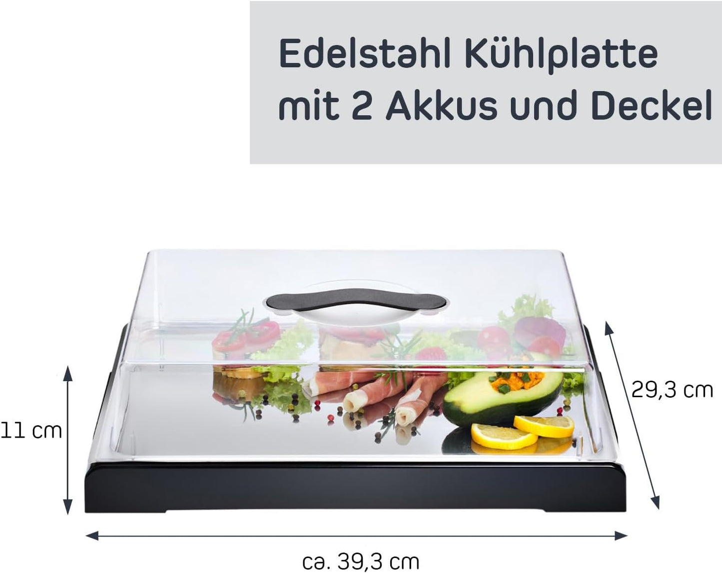 Servierplatte mit Deckel & Kühlakkus, Klassisch