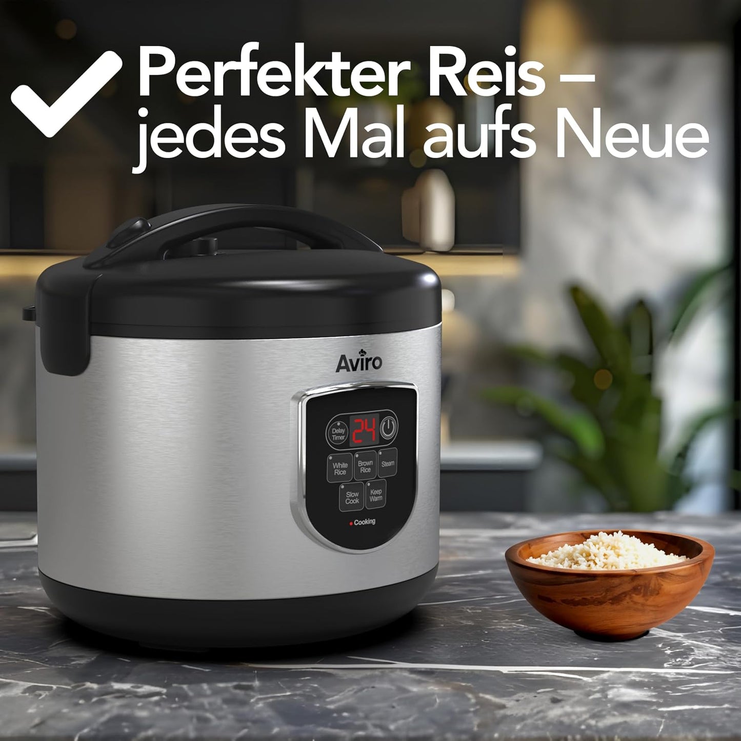 Reiskocher & Slow Cooker