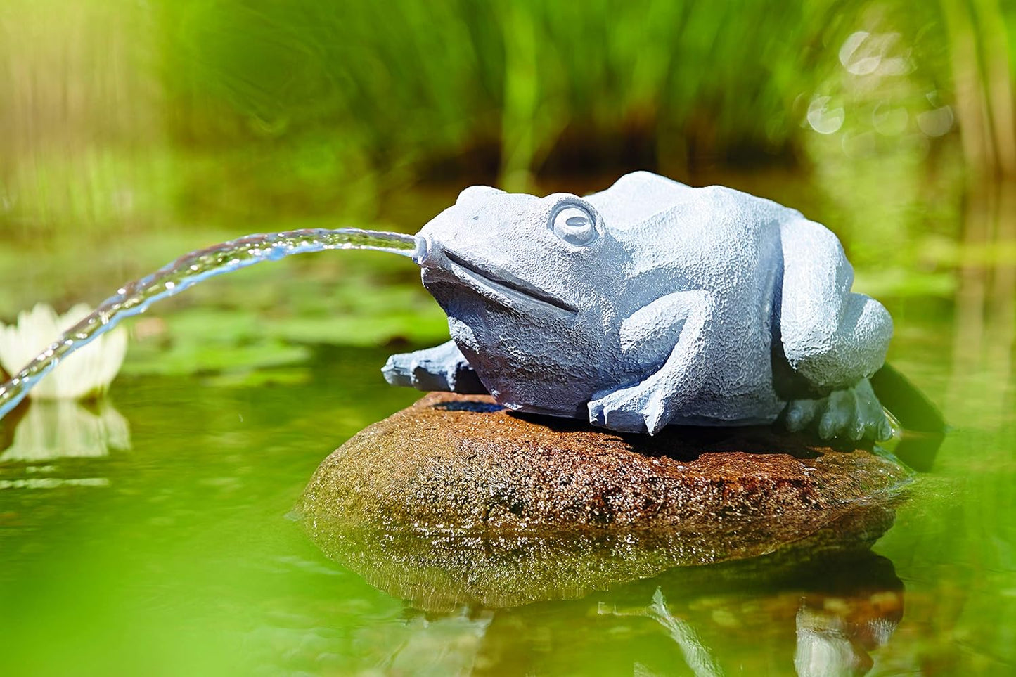 Wasserspeier Frosch