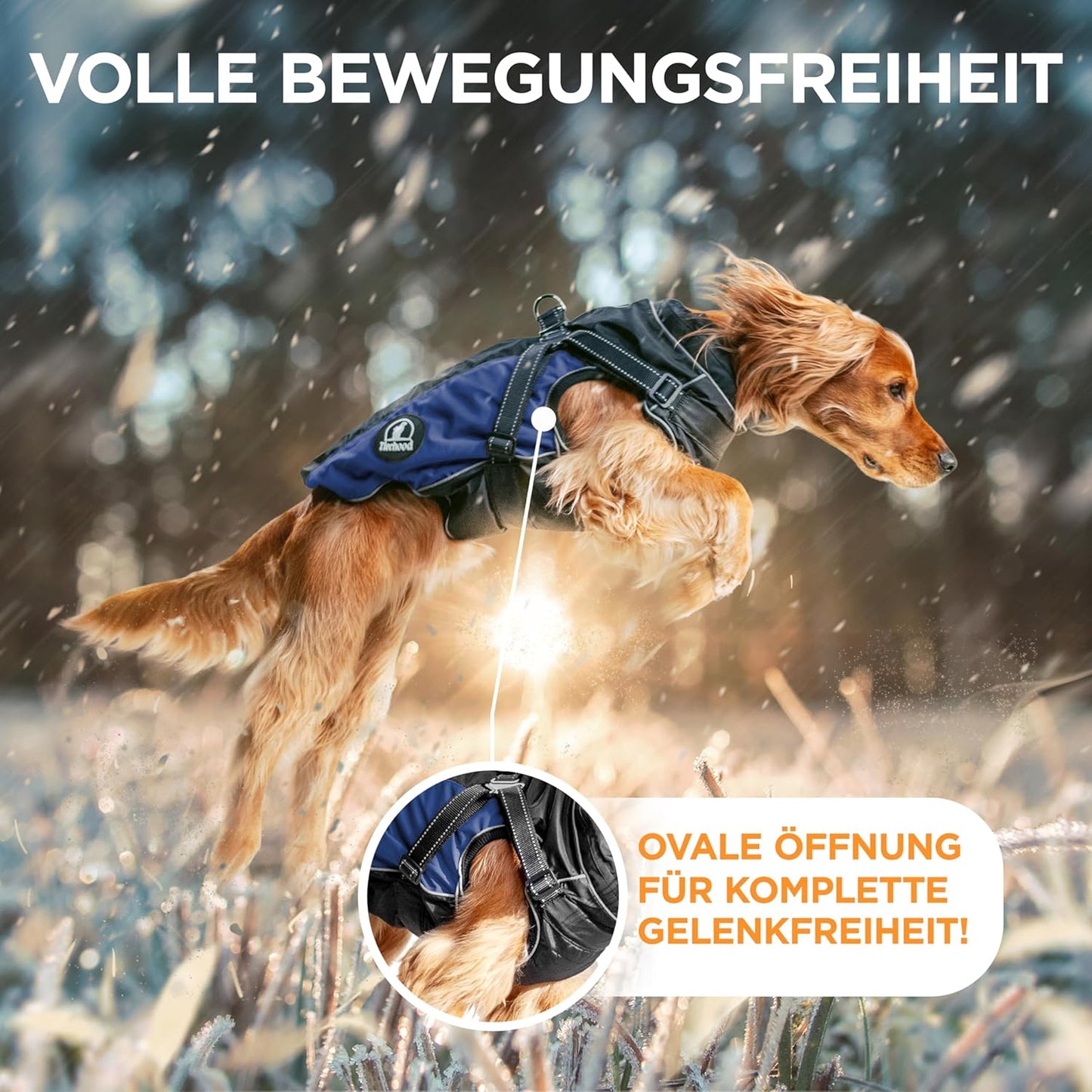Regenmantel für Hunde, XS (Brustumf. 54-60cm) (Rückenl. 43-45cm) Blau